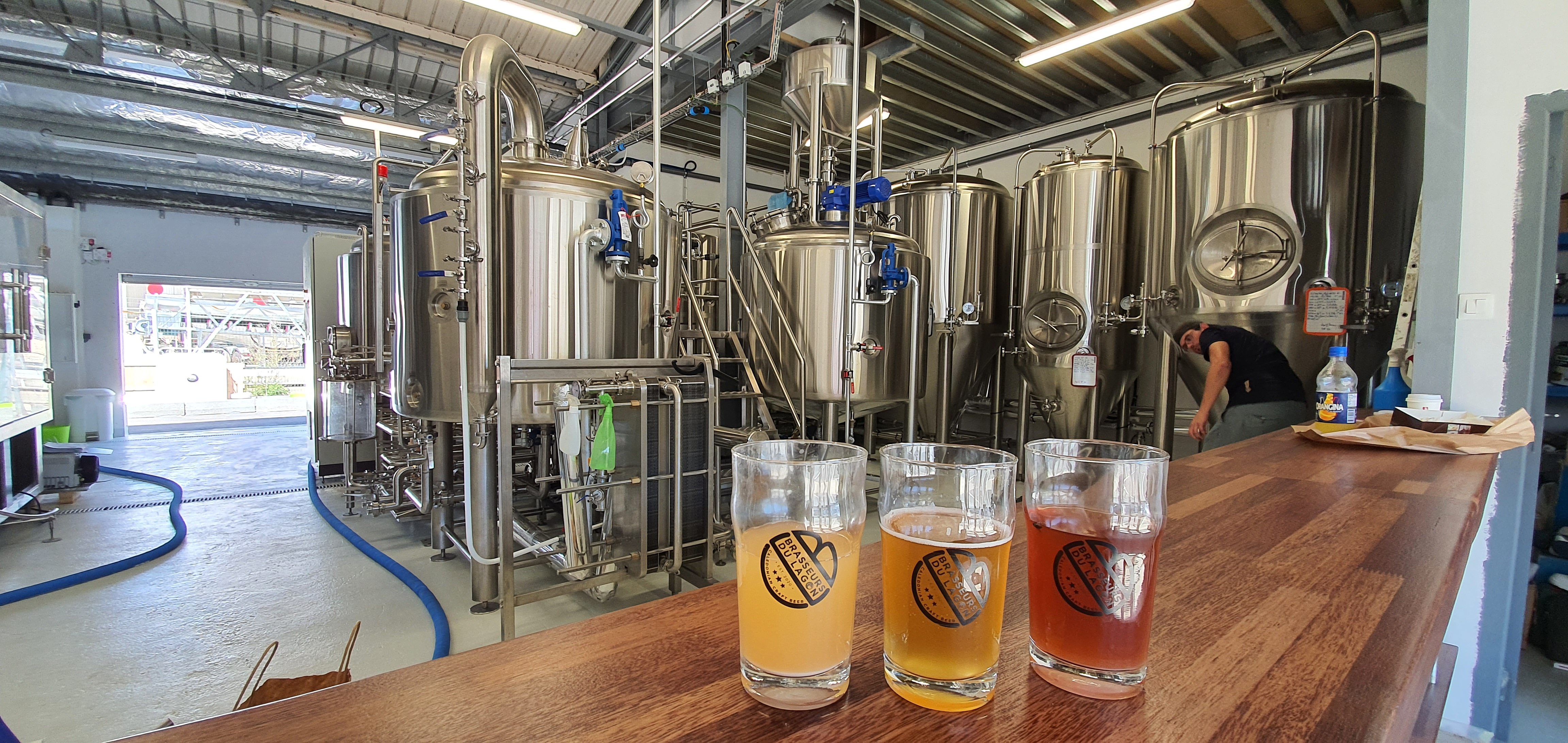 建设啤酒厂，规避误区至关重要